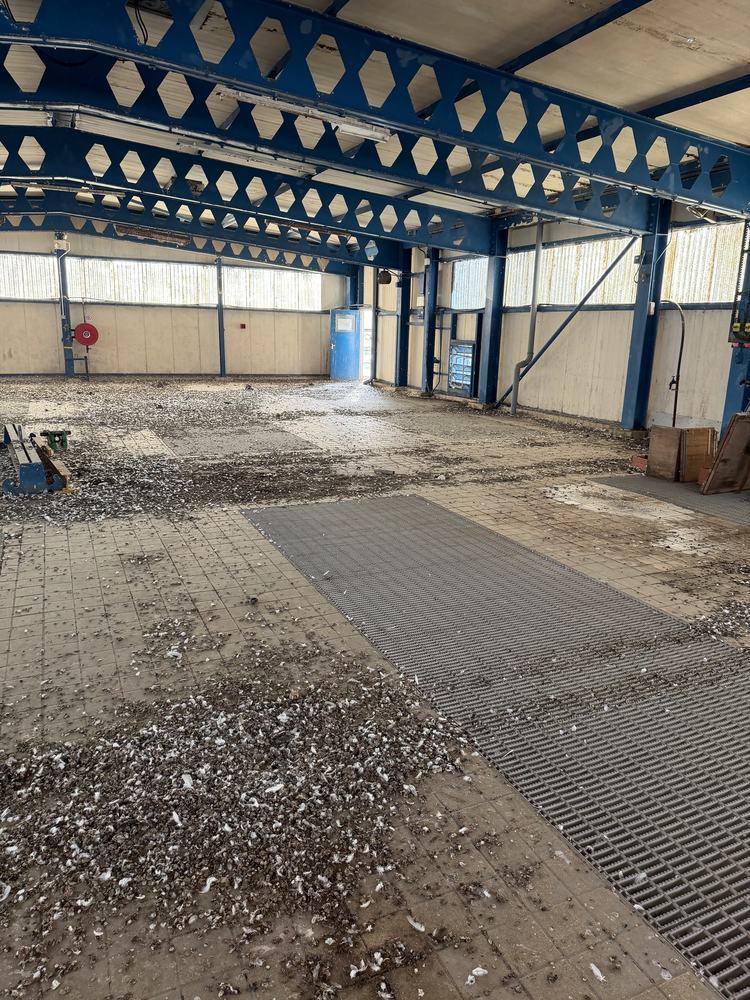 Before: factory floor littered with droppings and debris under a steel roof