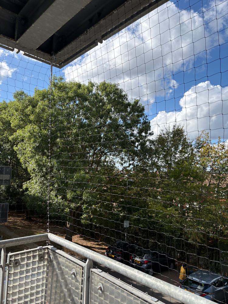 Bird netting across a flat's balcony overlooking trees