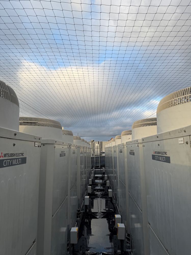 Rows of rooftop air conditioning units under bird netting