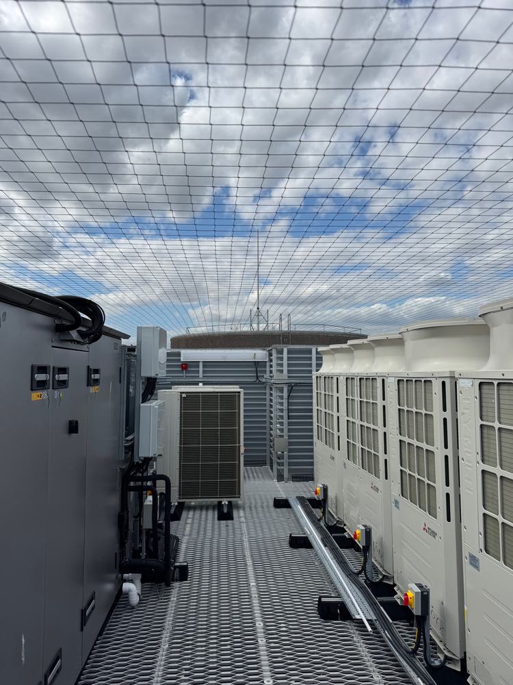 Rooftop plant deck with bird netting overhead