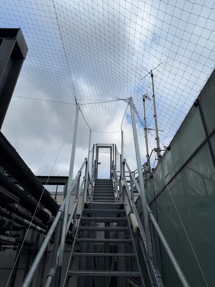 Rooftop access stairs under bird netting